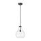 Z-Lite Bon Air Pendant, 1-Light, 10 In.W x 13.75 In.H, Matte Black/Clear 496P10-MB - alternate 1